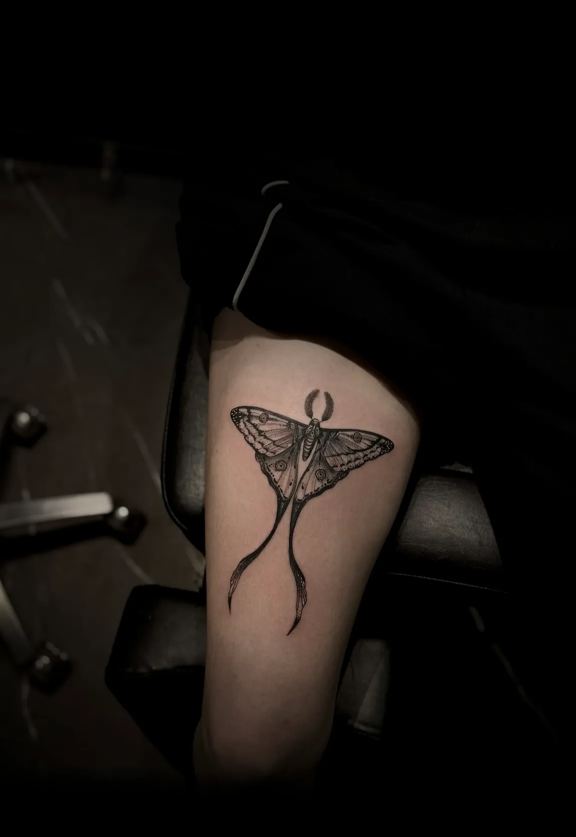 Tatouage Ornamental, Fineline réalisé par Owink Studio à Metz